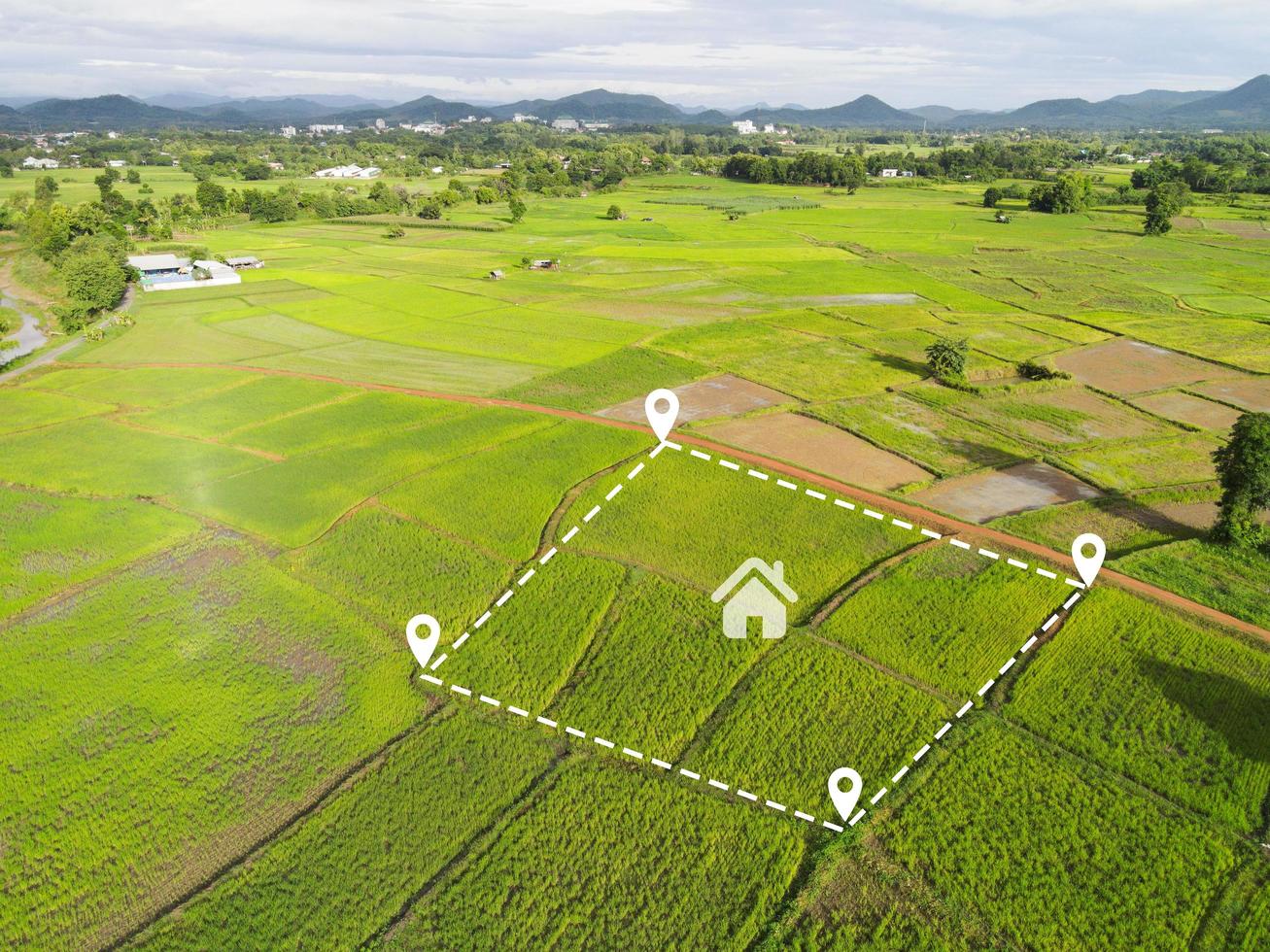plots ground
